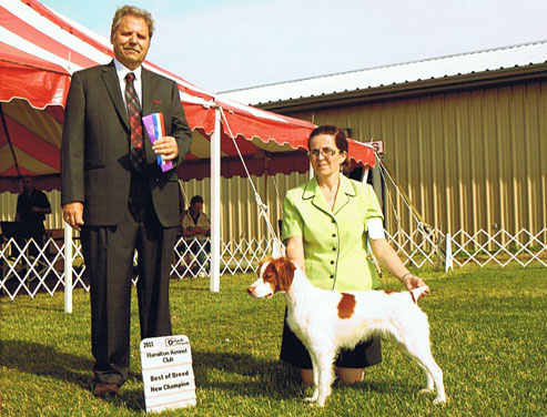Gen, a very pretty Brittany Spaniel Show Champion finished June 26, 2011